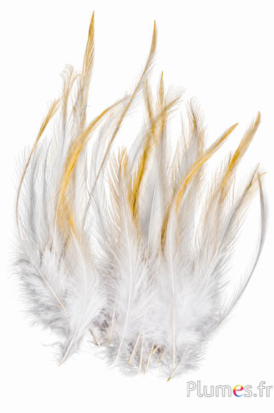 Haan Leon - 10-15 cm - creme natuurlijk